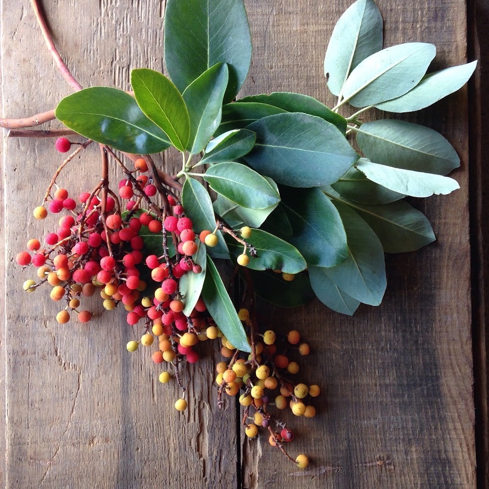 Meet your Posher, Marlene